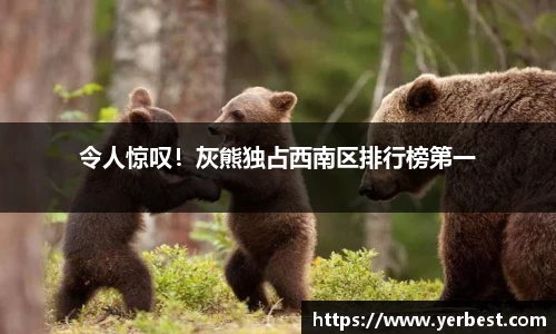 令人惊叹！灰熊独占西南区排行榜第一